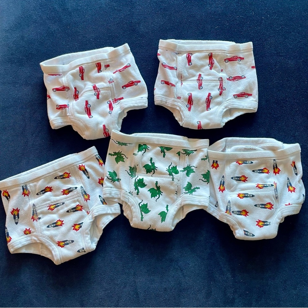 Bundle of 5 Hanna Andersson training underwear